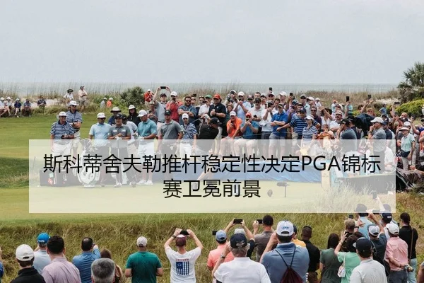 si-ke-di-she-fu-lei-tui-gan-wen-ding-xing-jue-ding-jin-biao-sai-wei-mian-qian-jing-2-468.jpg