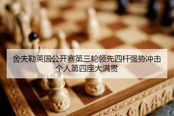 she-fu-lei-ying-guo-gong-kai-sai-di-san-lun-ling-xian-si-gan-qiang-shi-chong-ji-ge-ren-di-si-zuo-da-man-guan-3-390.jpg