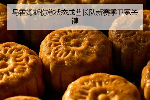 马霍姆斯伤愈状态成酋长队新赛季卫冕关键