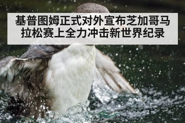 基普图姆正式对外宣布芝加哥马拉松赛上全力冲击新世界纪录