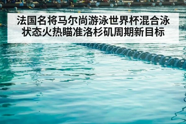 swimming competition pool lanes